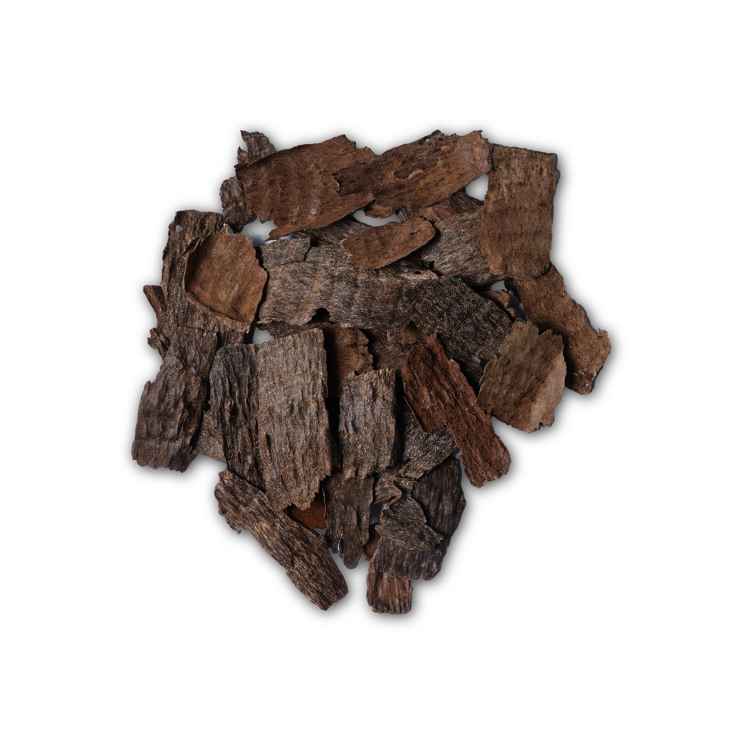 عود سر الغابة ( من عائلة السبايك )